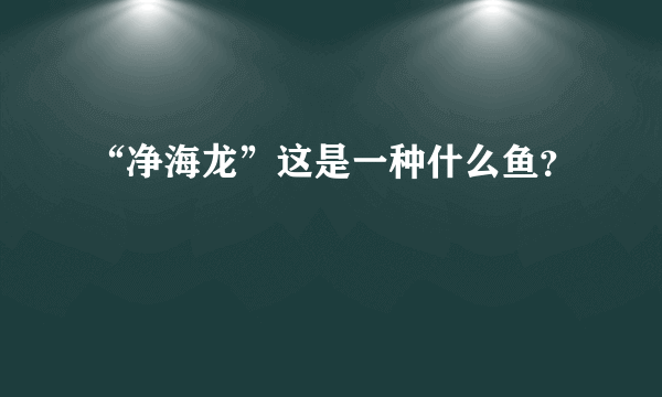 “净海龙”这是一种什么鱼？