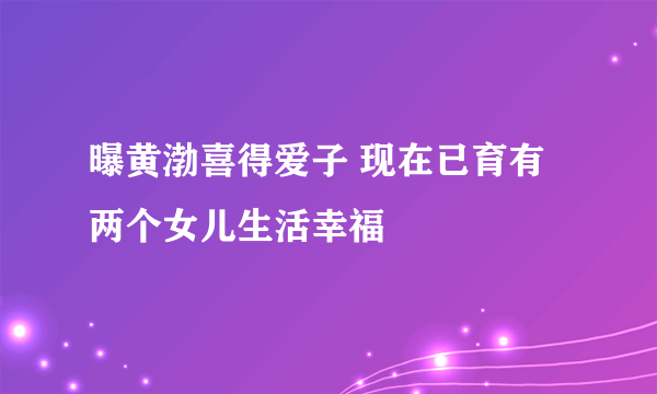 曝黄渤喜得爱子 现在已育有两个女儿生活幸福