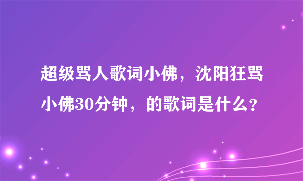 超级骂人歌词小佛，沈阳狂骂小佛30分钟，的歌词是什么？