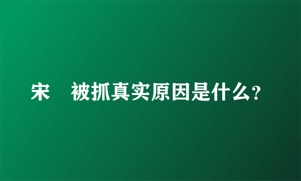 宋喆被抓真实原因是什么？