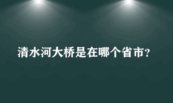 清水河大桥是在哪个省市？