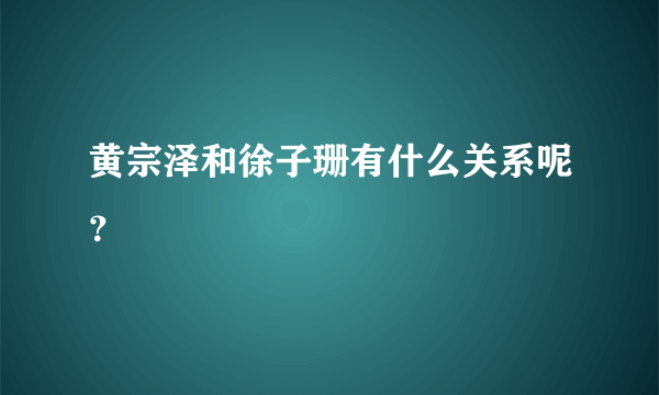 黄宗泽和徐子珊有什么关系呢？