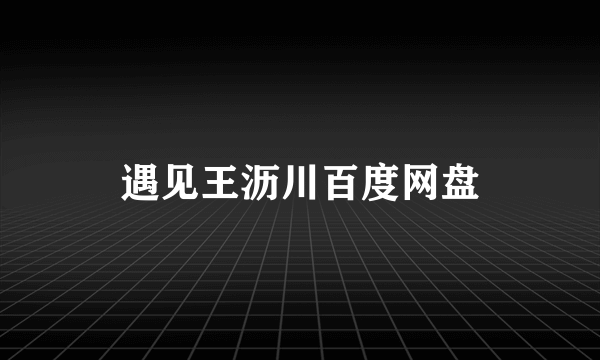 遇见王沥川百度网盘