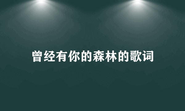 曾经有你的森林的歌词