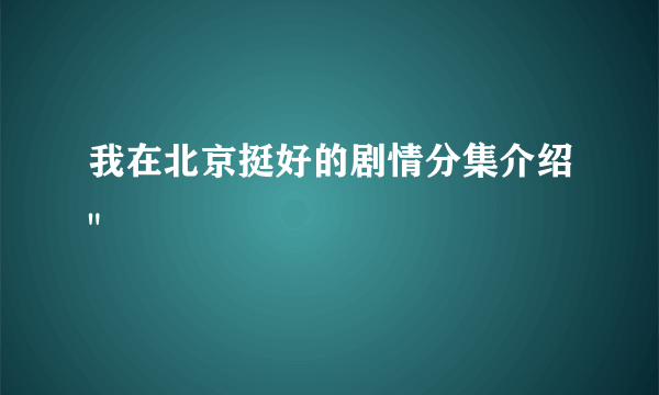 我在北京挺好的剧情分集介绍