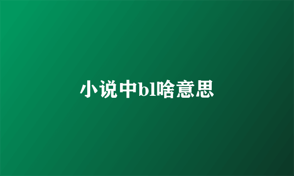 小说中bl啥意思