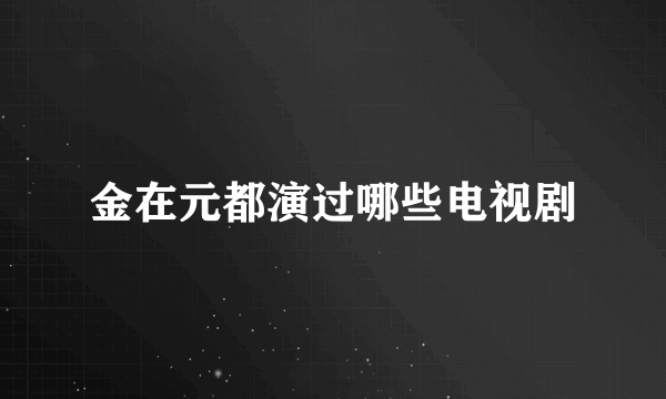 金在元都演过哪些电视剧