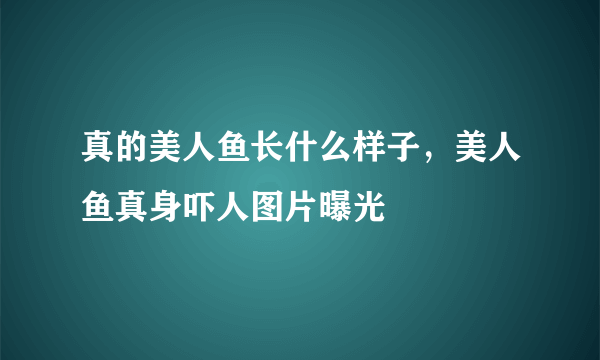 真的美人鱼长什么样子，美人鱼真身吓人图片曝光