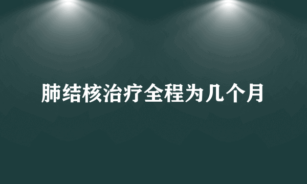 肺结核治疗全程为几个月