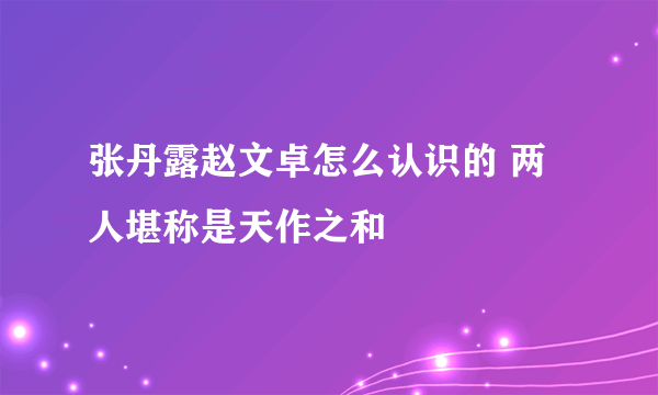 张丹露赵文卓怎么认识的 两人堪称是天作之和