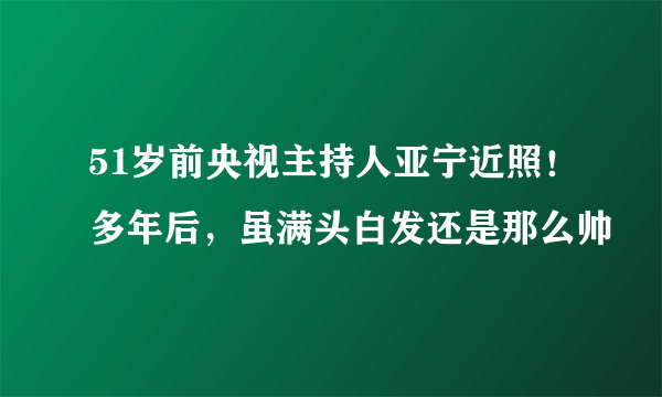 51岁前央视主持人亚宁近照！多年后，虽满头白发还是那么帅