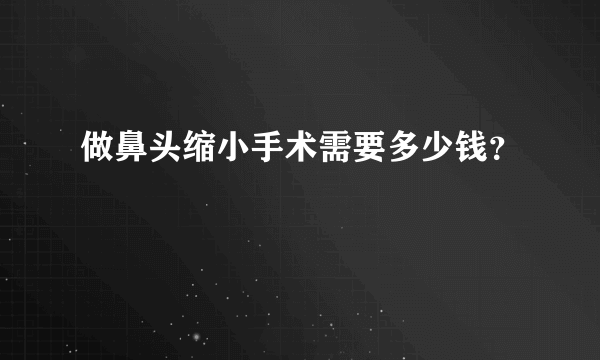 做鼻头缩小手术需要多少钱？