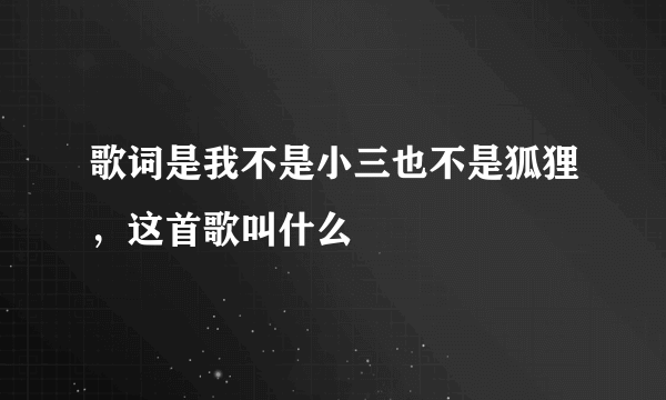 歌词是我不是小三也不是狐狸，这首歌叫什么