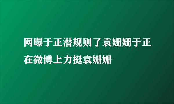 网曝于正潜规则了袁姗姗于正在微博上力挺袁姗姗