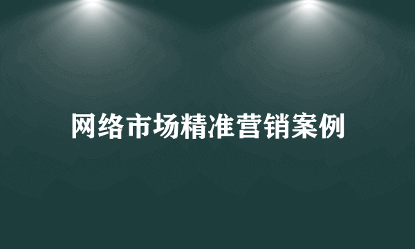 网络市场精准营销案例