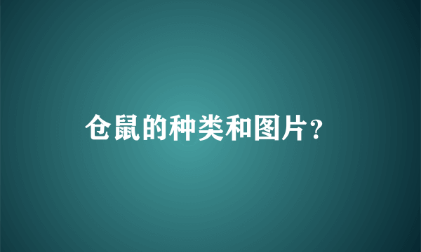 仓鼠的种类和图片？