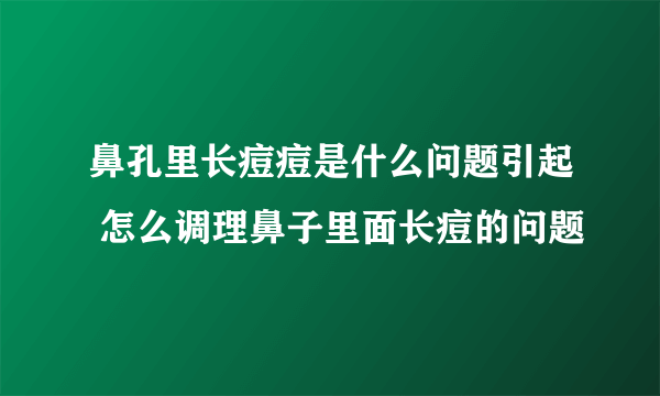 鼻孔里长痘痘是什么问题引起 怎么调理鼻子里面长痘的问题