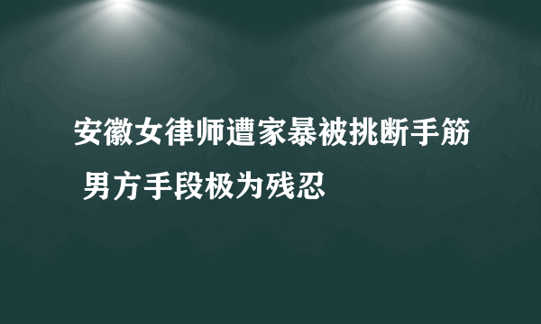 安徽女律师遭家暴被挑断手筋 男方手段极为残忍