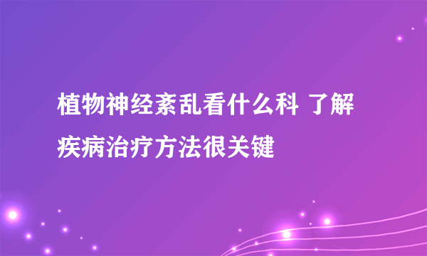 植物神经紊乱看什么科 了解疾病治疗方法很关键