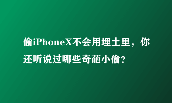 偷iPhoneX不会用埋土里，你还听说过哪些奇葩小偷？