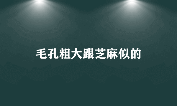 毛孔粗大跟芝麻似的