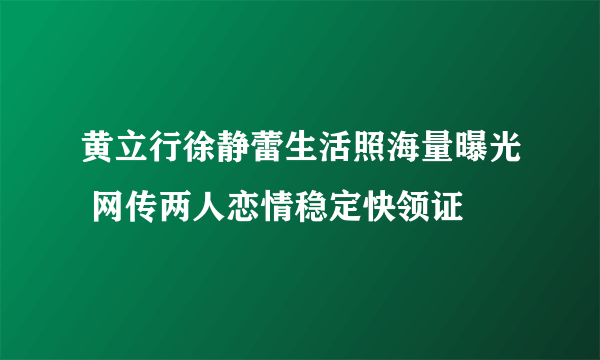 黄立行徐静蕾生活照海量曝光 网传两人恋情稳定快领证