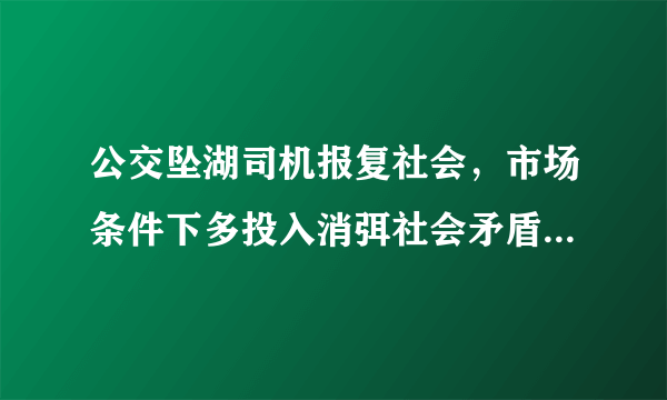 公交坠湖司机报复社会，市场条件下多投入消弭社会矛盾，你咋看？