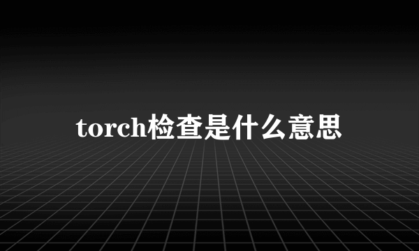 torch检查是什么意思