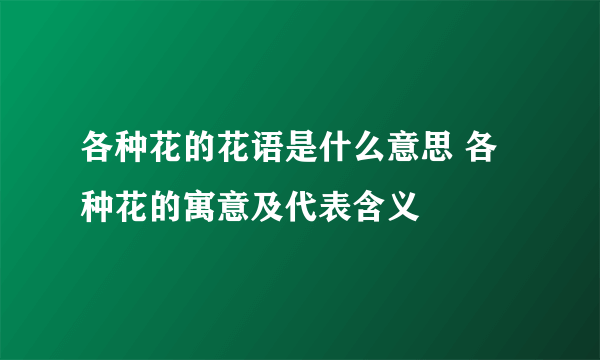 各种花的花语是什么意思 各种花的寓意及代表含义