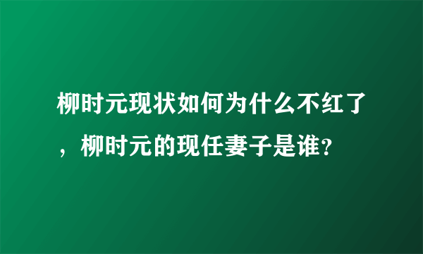 柳时元现状如何为什么不红了，柳时元的现任妻子是谁？