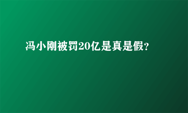 冯小刚被罚20亿是真是假？