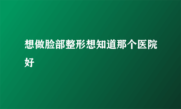 想做脸部整形想知道那个医院好