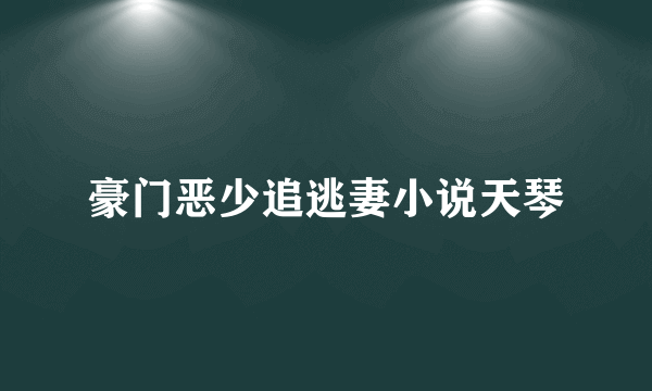 豪门恶少追逃妻小说天琴