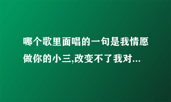 哪个歌里面唱的一句是我情愿做你的小三,改变不了我对你的思念