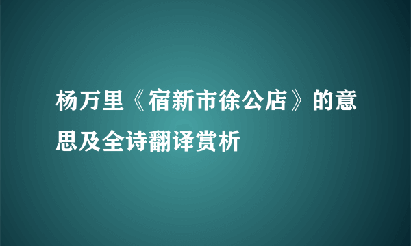 杨万里《宿新市徐公店》的意思及全诗翻译赏析