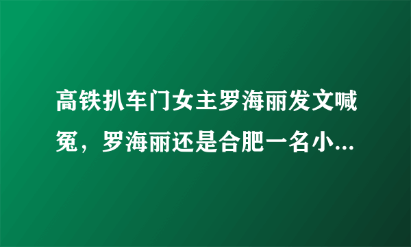 高铁扒车门女主罗海丽发文喊冤，罗海丽还是合肥一名小学语文高级教师合肥市永红路小学教导处副主任