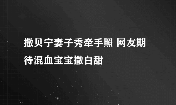 撒贝宁妻子秀牵手照 网友期待混血宝宝撒白甜