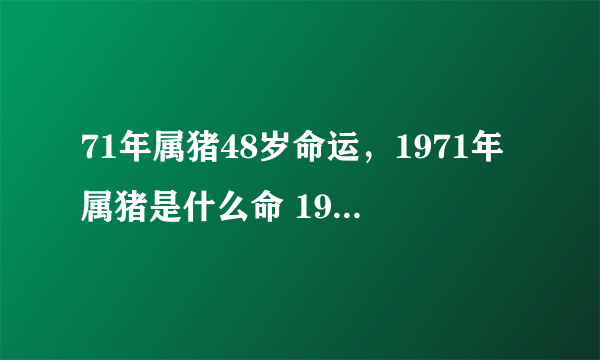 71年属猪48岁命运，1971年属猪是什么命 1971年出生人的命运