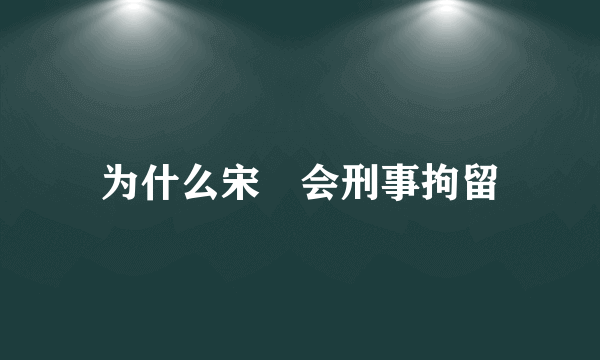 为什么宋喆会刑事拘留