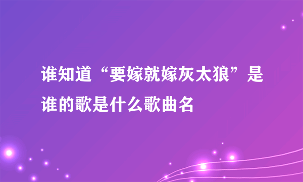 谁知道“要嫁就嫁灰太狼”是谁的歌是什么歌曲名