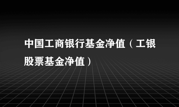 中国工商银行基金净值（工银股票基金净值）