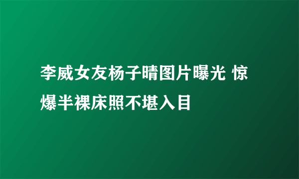 李威女友杨子晴图片曝光 惊爆半裸床照不堪入目