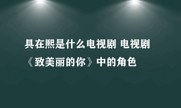 具在熙是什么电视剧 电视剧《致美丽的你》中的角色