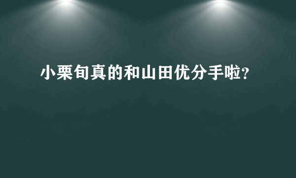 小栗旬真的和山田优分手啦？