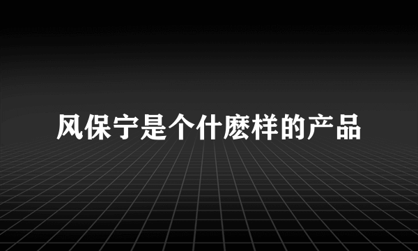 风保宁是个什麽样的产品