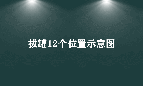 拔罐12个位置示意图