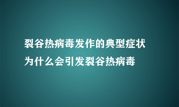 裂谷热病毒发作的典型症状 为什么会引发裂谷热病毒