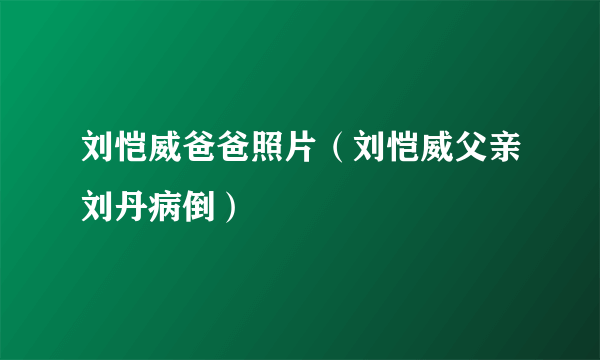 刘恺威爸爸照片（刘恺威父亲刘丹病倒）