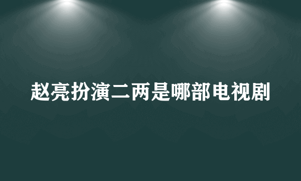 赵亮扮演二两是哪部电视剧