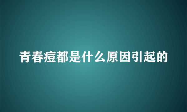 青春痘都是什么原因引起的